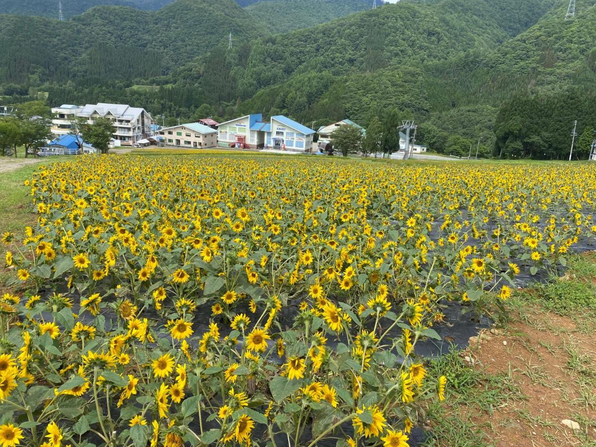 花緑里-Hanamidori-乙原のやど 岐阜下呂温泉郡上飛騨金山湖畔リゾート Gujo Exteriér fotografie
